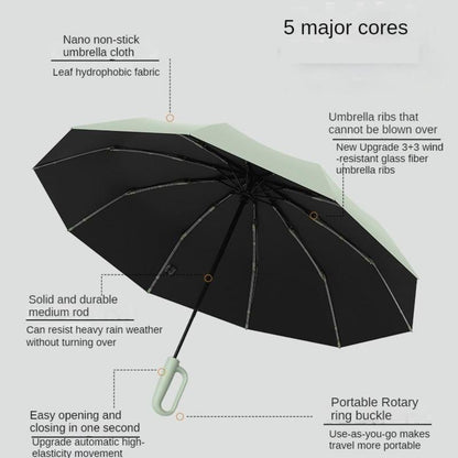 StormShield Pro - Stormbestendige Automatische Paraplu