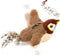 Sparrow BirdChase