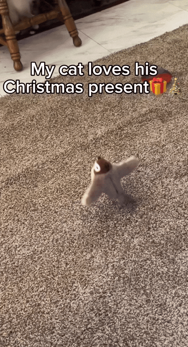 VliegVriendje: Favoriete Vliegende Speeltje voor Katten