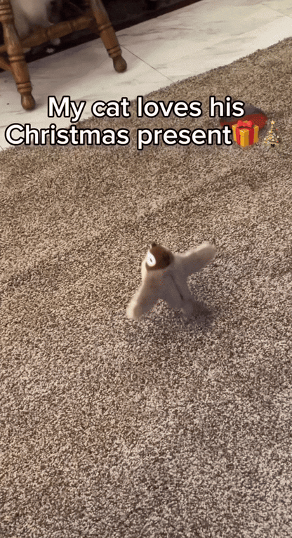 VliegVriendje: Favoriete Vliegende Speeltje voor Katten