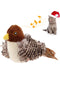 Brown BirdChase